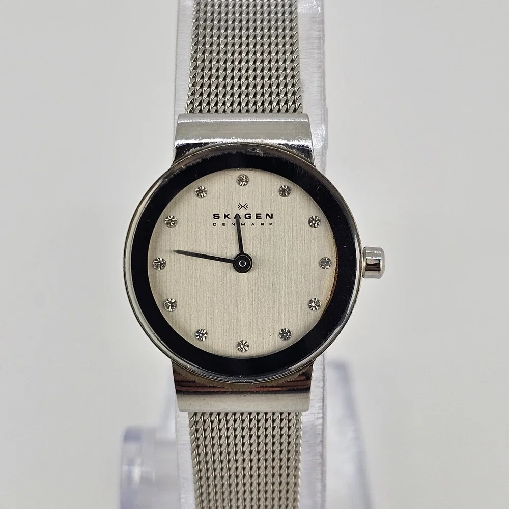 Skagen‎ Women's Analog Watch 22MM Gray Dial Gray Mesh Bands New Battery